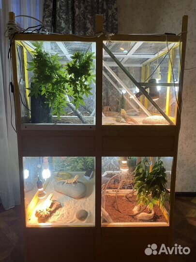 Террариум для рептилий