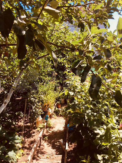 Комната 18 м² в 2-к., 2/2 эт.