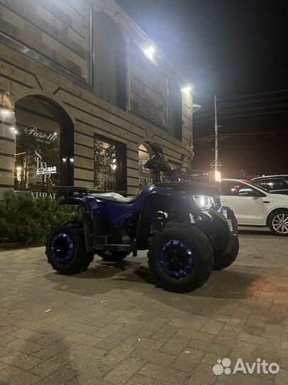 Avantis Hunter 200 New