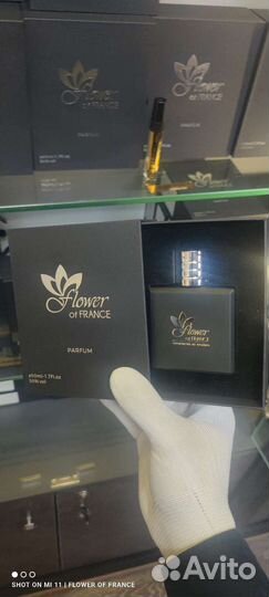 Tiziana terenzi andromeda французский аналог