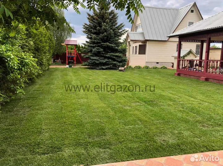 Рулонный газон, укладка, продажа