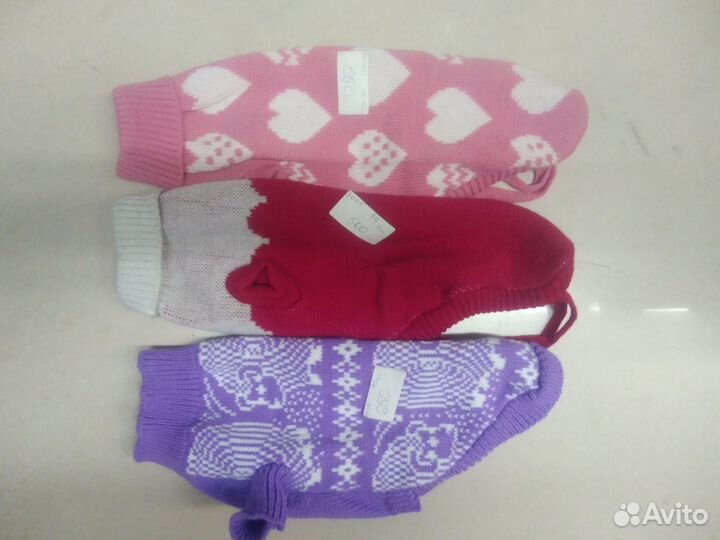 Одежда для животных на осень