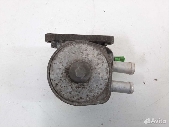 Радиатор масляный 2.0 tnbb Форд Мондео 4 рестайлин