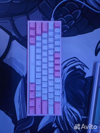 Red dragon fizz k617