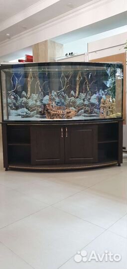 Аквариумные рыбки