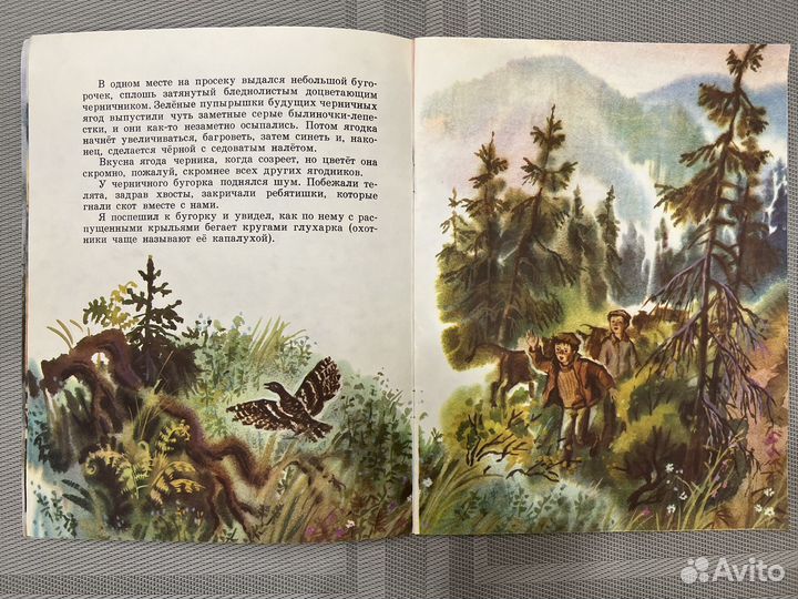 Детские книги СССР Астафьев Весенний остров 1983