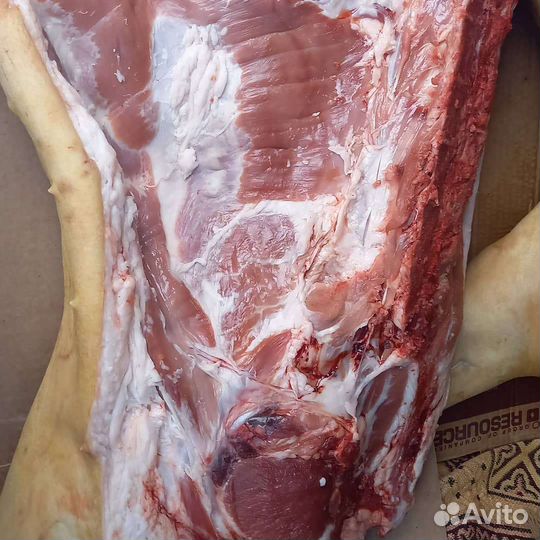 Мясо свинины, тушки цыплят бройлеров