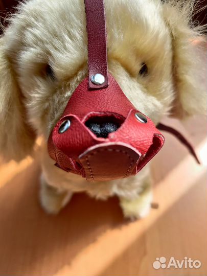 Намордник для маленькой собаки