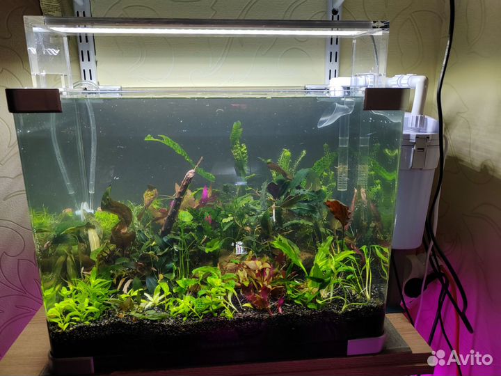 Аквариум -травник