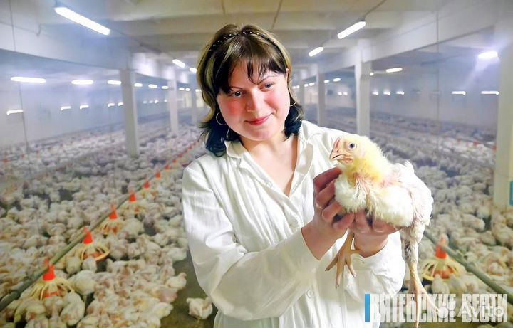 Оператор птицефабрик и механизированных ферм