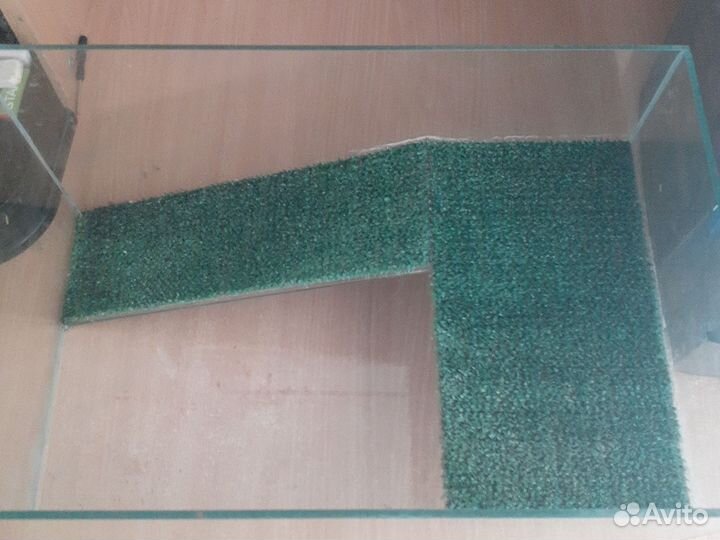 Аквариум для красноухой черепахи