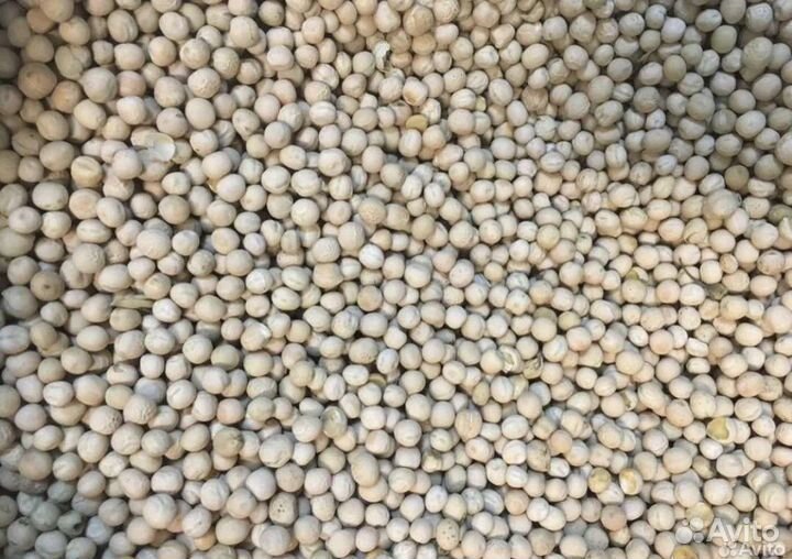 Горох фуражный оптом