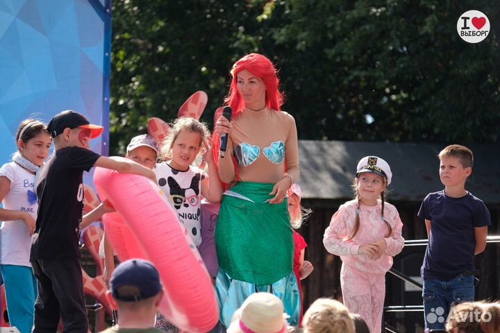 Аниматор, Ведущий