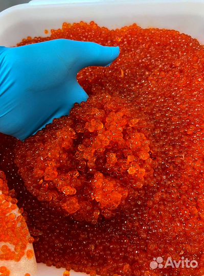 Красная икра оптом