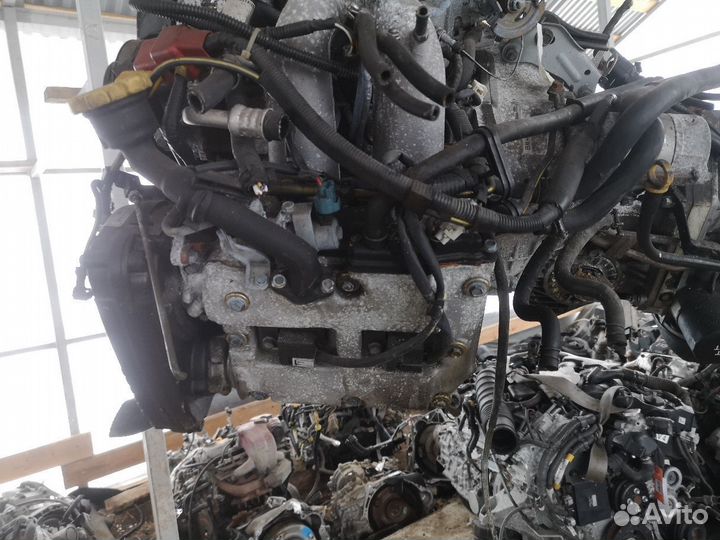 Двигатель на Subaru Legacy B4 BE5 EJ204dxake