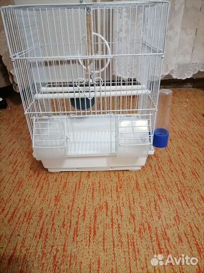 Клетка для попугая, в подарок корм