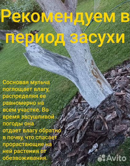 Кора сосновая/мульча