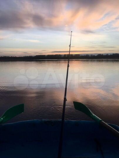 Участок 65 сот. (СНТ, ДНП)