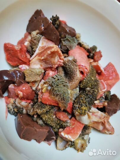 Корм для собак на каждый день