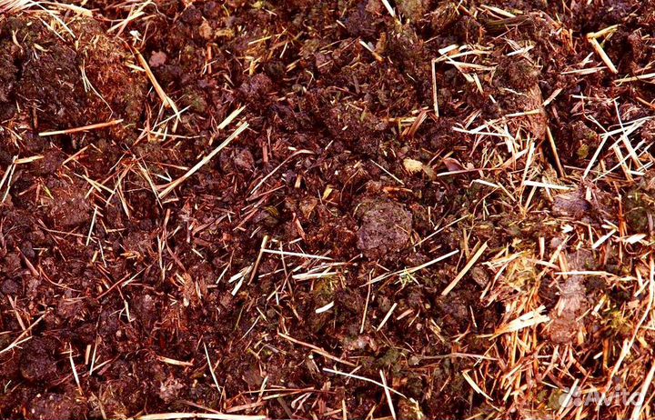 Чернозем, навоз, перегной с доставкой