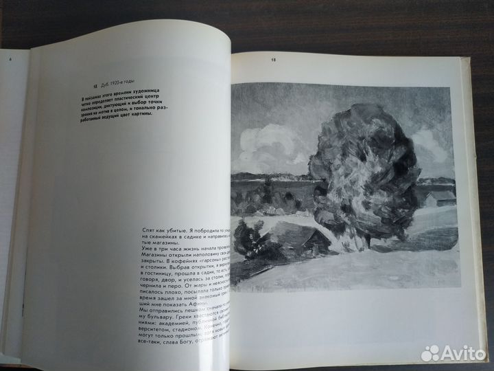 Зоя Матвеева-Мостова, иллюстрированный альбом