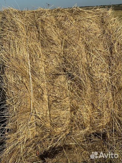 Продажа сена с доставкой
