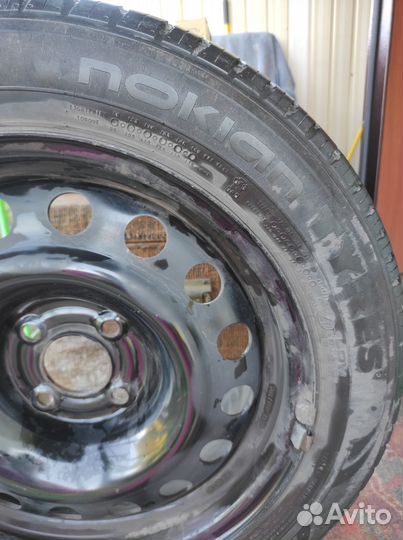 Nokian Tyres Nordman SX2 205/55 R16