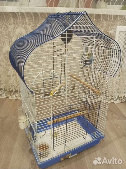 Попугай с клеткой