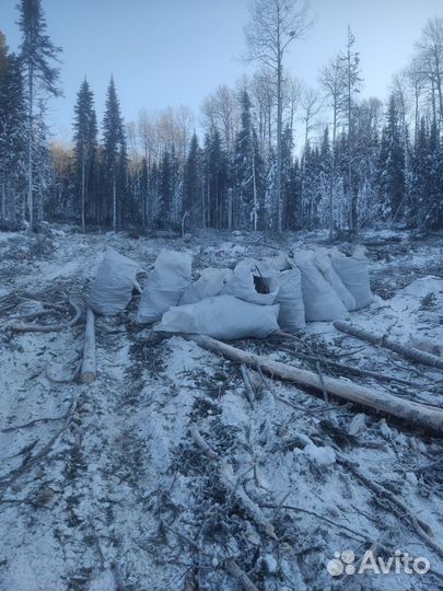 Пихтовое масло