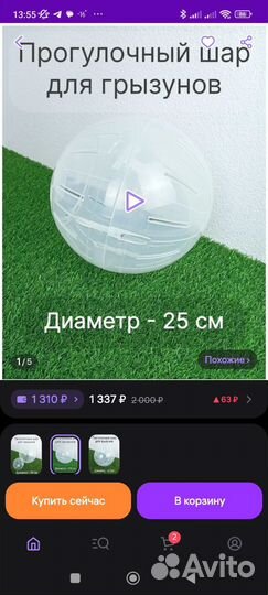 Прогулочный шар для грызунов