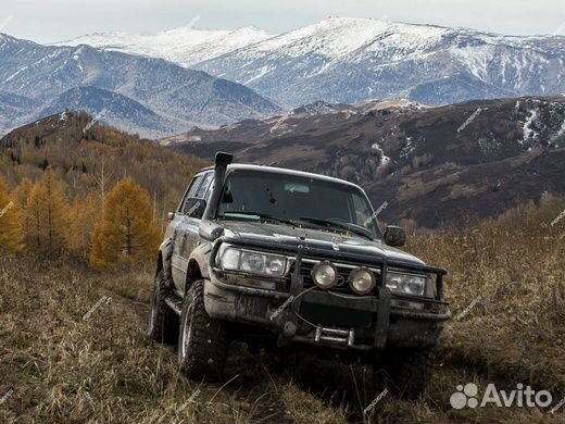 Бушвакеры на toyota land cruiser 80