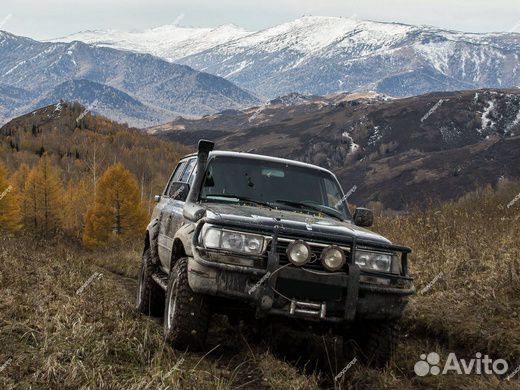 Бушвакеры на toyota land cruiser 80