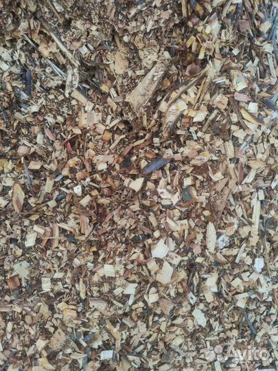 Щепа (мульча)