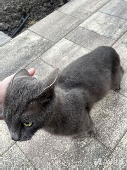 Тротуарная плитка Propress заказ от 120 м2