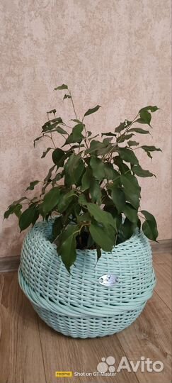 Кашпо из ротанга 10 литров