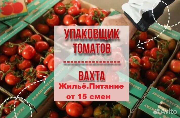 Сборщик на склад в теплицу.Питание.Проживание