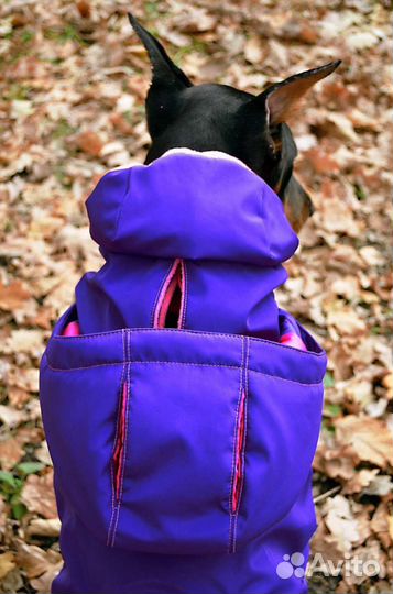 Одежда для большой собаки