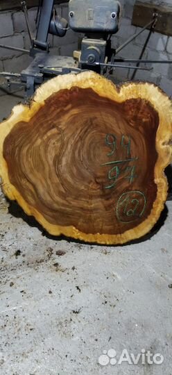 Слебы спилы