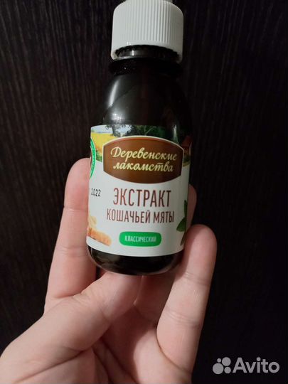 Кошачья мята