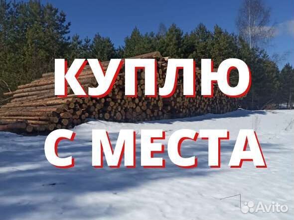 Продам кругляк ваш