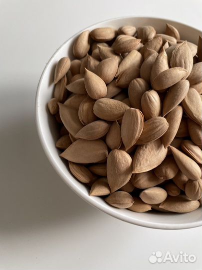 Миндаль горький в скорлупе