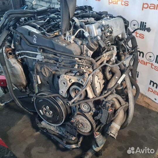 Двигатель DTN Audi A5 8W 2022