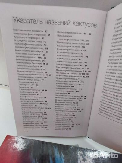 Книга про кактусы. Атлас с цветными иллюстрац