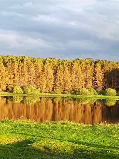 Дом 33,6 м² на участке 30 сот.