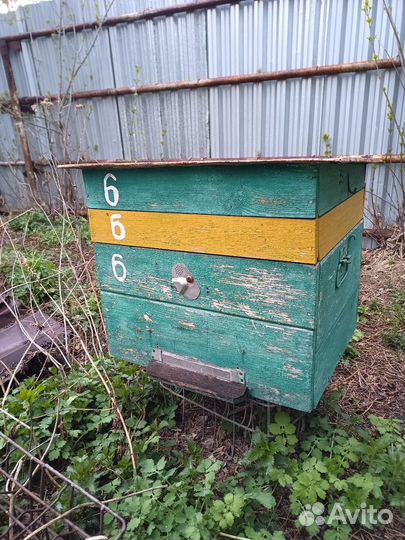 Улей для пчел бу