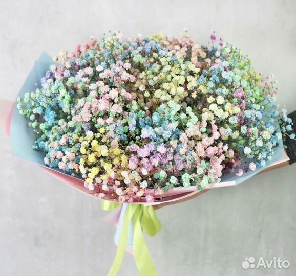 Гипсофила цветы