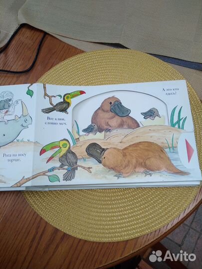 Книга для детей Морды