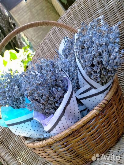 Букет лаванды