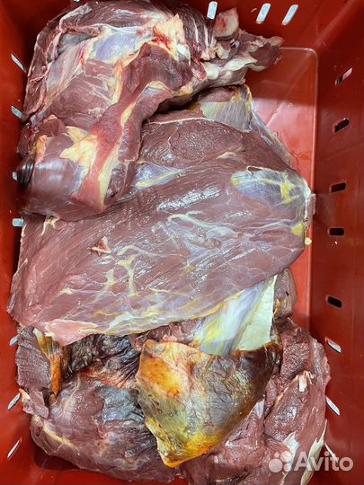 Продукты питания