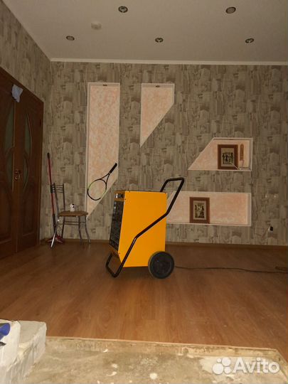 Затопили соседи Осушитель воздуха 100м2